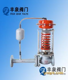 zzy型自力式壓力調節(jié)閥圖片 高清大圖 谷瀑環(huán)保